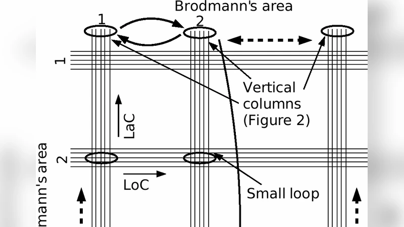 Outline of a novel architecture for cortical computation