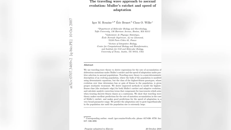 The traveling wave approach to asexual evolution: Mullers ratchet and   speed of adaptation