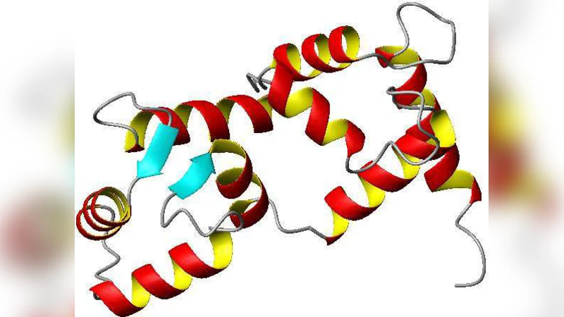 Convex Hulls of Orbits and Orientations of a Moving Protein Domain