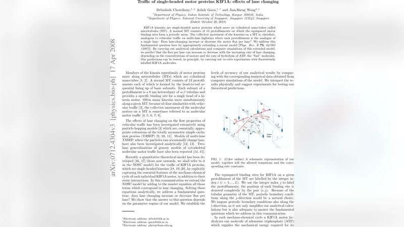 Traffic of single-headed motor proteins KIF1A: effects of lane changing