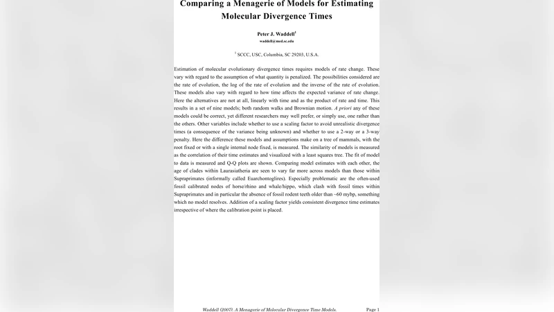 Comparing a Menagerie of Models for Estimating Molecular Divergence   Times