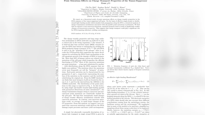 Point Mutations Effects on Charge Transport Properties of the   Tumor-Suppressor Gene p53