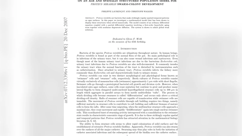 On an age and spatially structured population model for Proteus   Mirabilis swarm-colony development