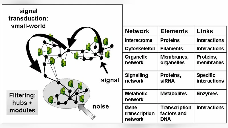 Chaperones as integrators of cellular networks: Changes of cellular   integrity in stress and diseases