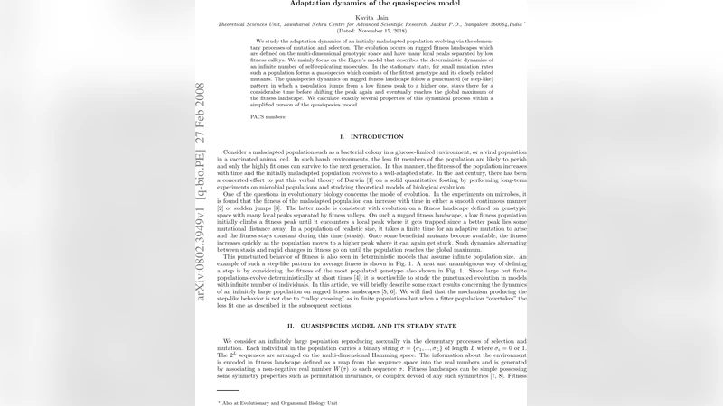 Adaptation dynamics of the quasispecies model