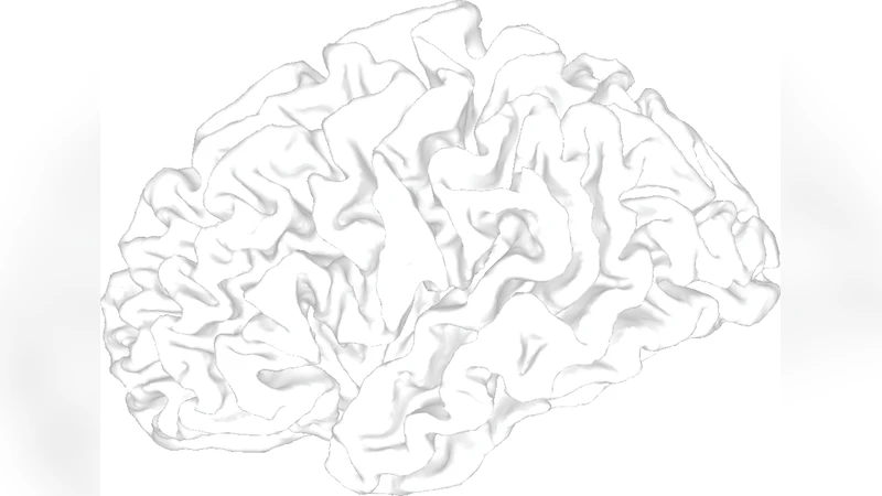 Brain architecture: A design for natural computation