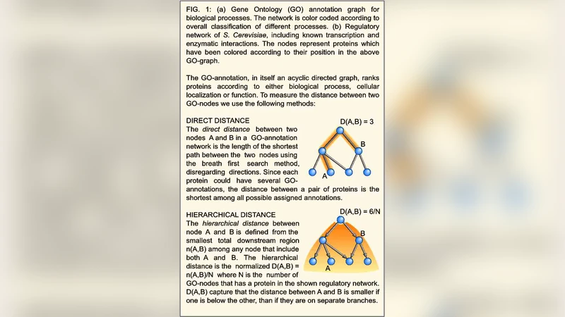 One Hub-One Process: A Tool Based View on Regulatory Network Topology