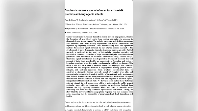 Stochastic Network Model of Receptor Cross-Talk Predicts Anti-Angiogenic   Effects
