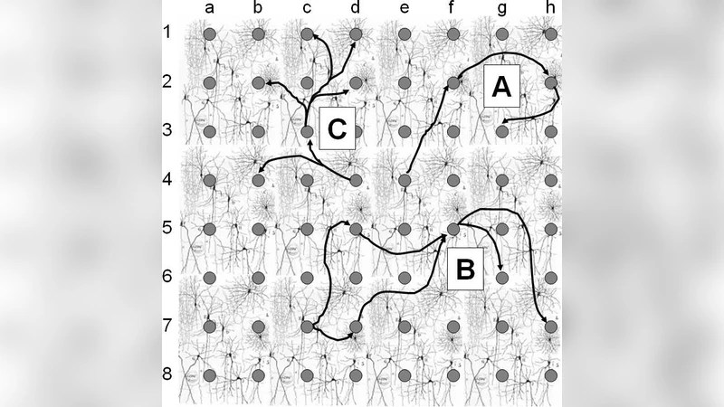 Inferring Neuronal Network Connectivity from Spike Data: A Temporal   Datamining Approach