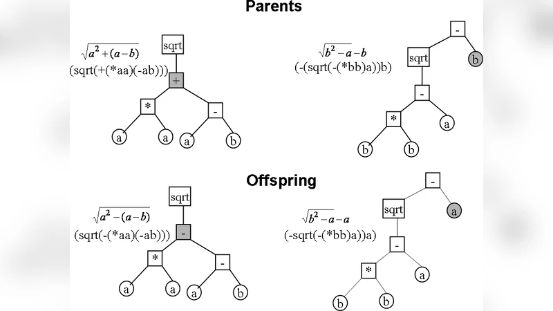 Evolutionary Computation in High Energy Physics