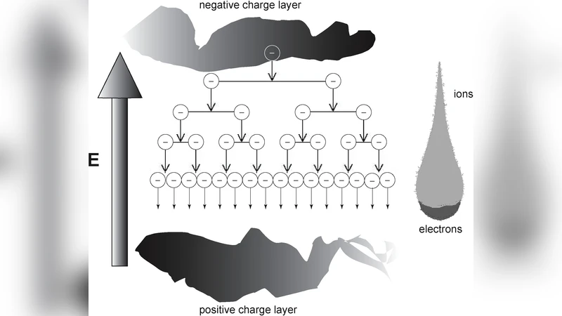 Detection of Aneuploidy with Digital PCR