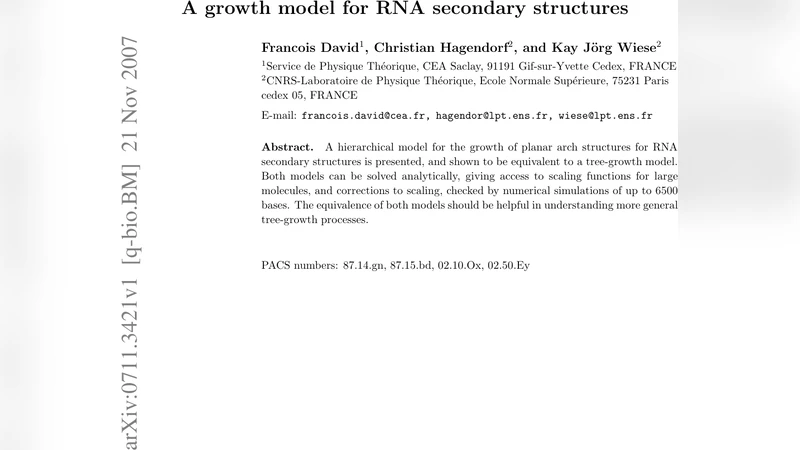 A growth model for RNA secondary structures