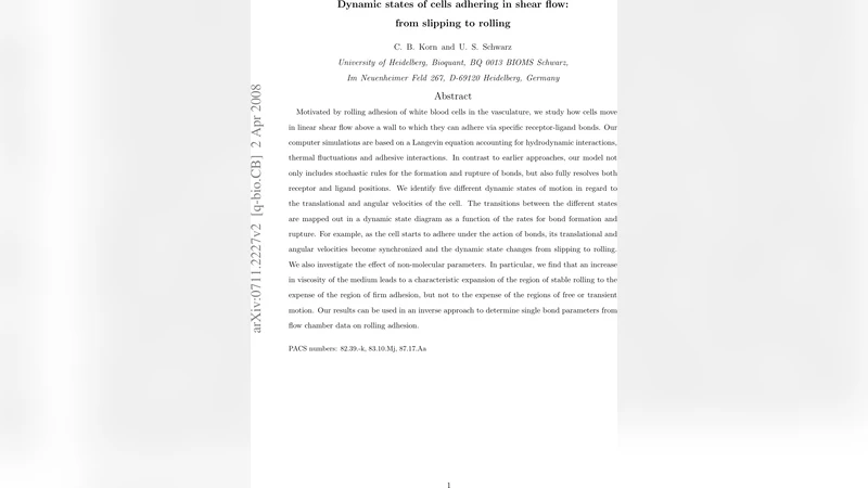 Dynamic states of cells adhering in shear flow: from slipping to rolling