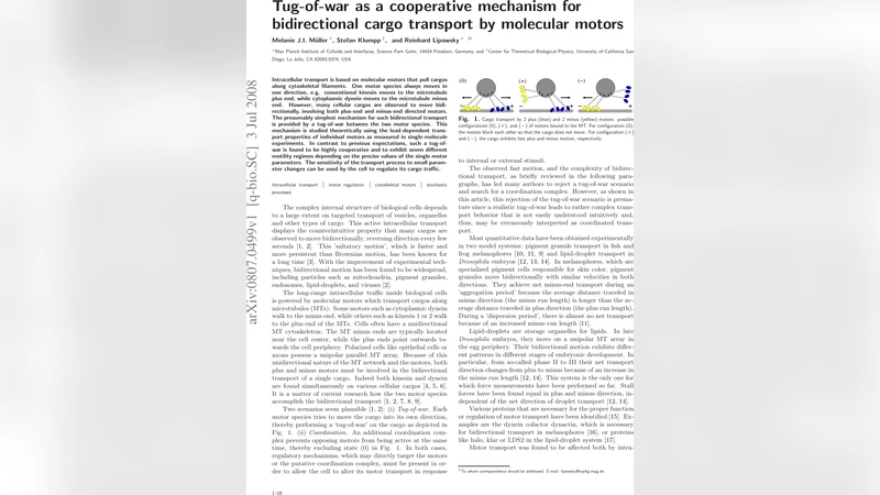 Tug-of-war as a cooperative mechanism for bidirectional cargo transport   by molecular motors