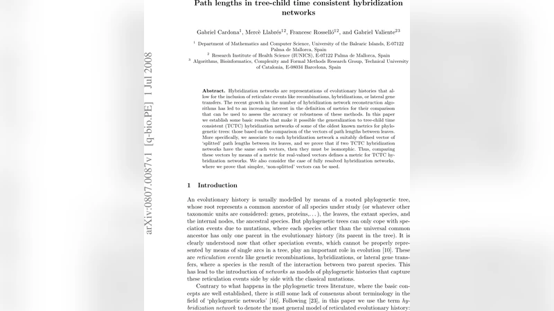 Path lengths in tree-child time consistent hybridization networks