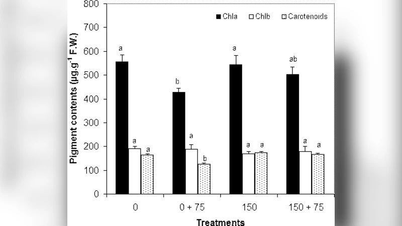 Potential Phytoextraction with in-vitro regenerated plantlets of   Brassica juncea (L.) Czern. in presence of CdCl$_2$: Cadmium accumulation and   physiological parameter measurement