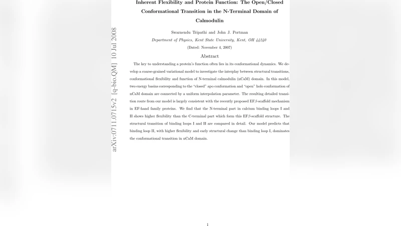 Inherent flexibility and protein function: the open/closed   conformational transition of the N-terminal domain of calmodulin