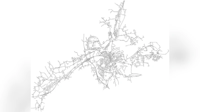 Self-organized Natural Roads for Predicting Traffic Flow: A Sensitivity   Study