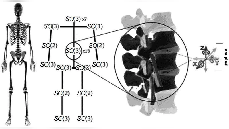 Human-Robot Biodynamics