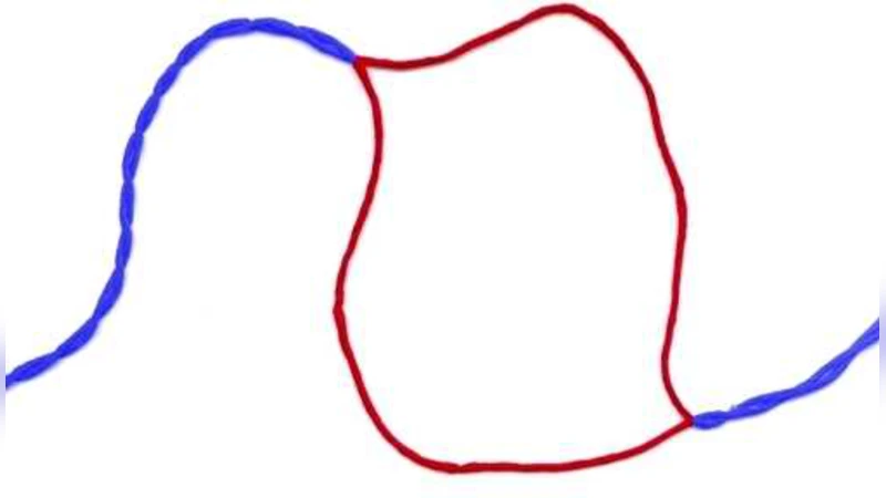 A stitch in time: Efficient computation of genomic DNA melting bubbles