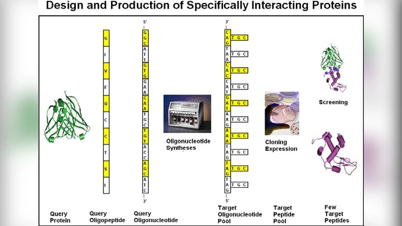 Design and Production of Specifically and with High Affinity Reacting   Peptides