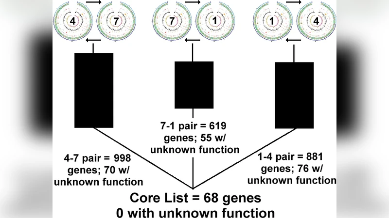 Towards a core genome: pairwise similarity searches on interspecific   genomic data