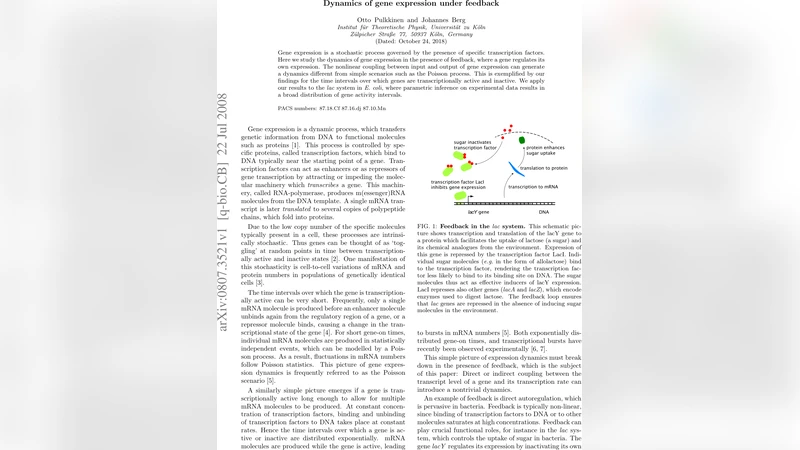 Dynamics of gene expression under feedback