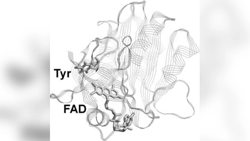 Stochastic modeling in nanoscale biophysics: Subdiffusion within   proteins