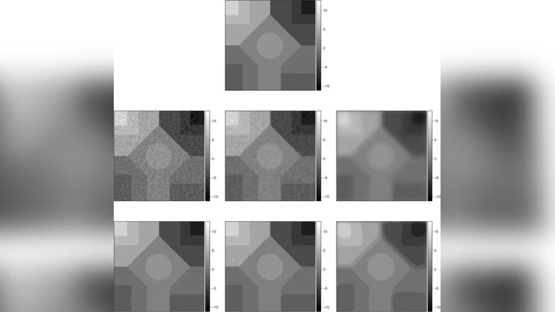Quantitative magnetic resonance image analysis via the EM algorithm with   stochastic variation