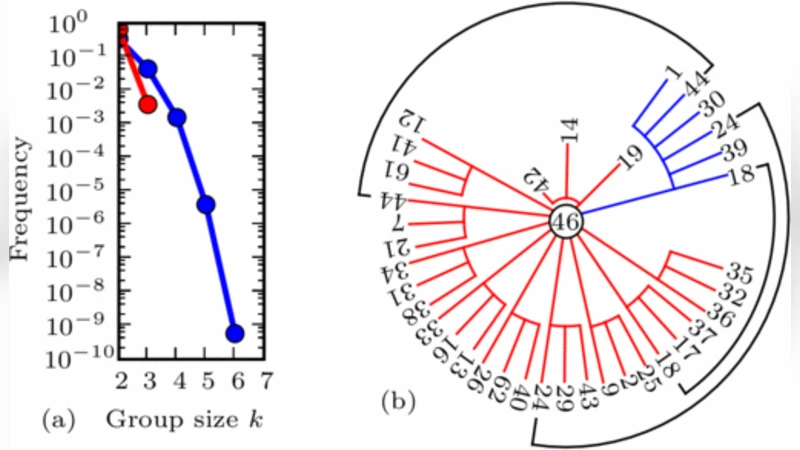 Identification of functional information subgraphs in complex networks