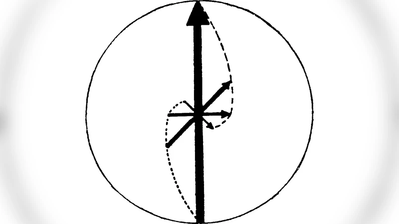 Functional gradients through the cortex, multisensory integration and   scaling laws in brain dynamics