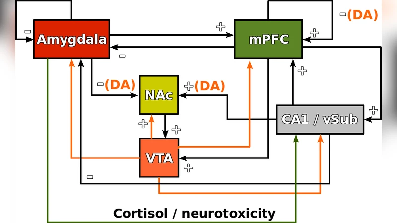 A multi-etiology model of systemic degeneration in schizophrenia