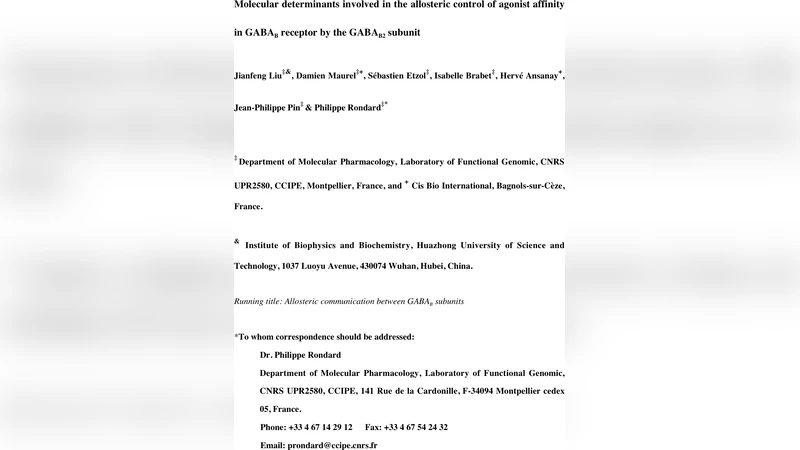 Molecular determinants involved in the allosteric control of agonist   affinity in the GABAB receptor by the GABAB2 subunit