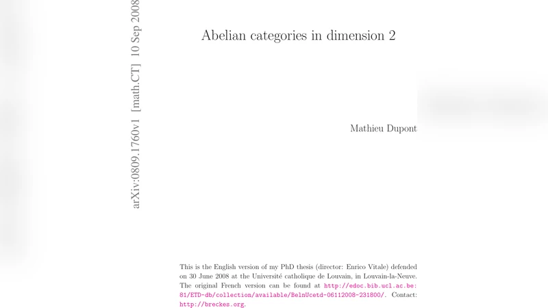 Abelian categories in dimension 2