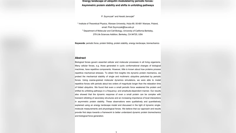 Strategies and performances of Soft Input Decryption