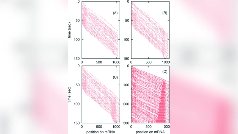 Ribosome collisions and Translation efficiency: Optimization by codon   usage and mRNA destabilization