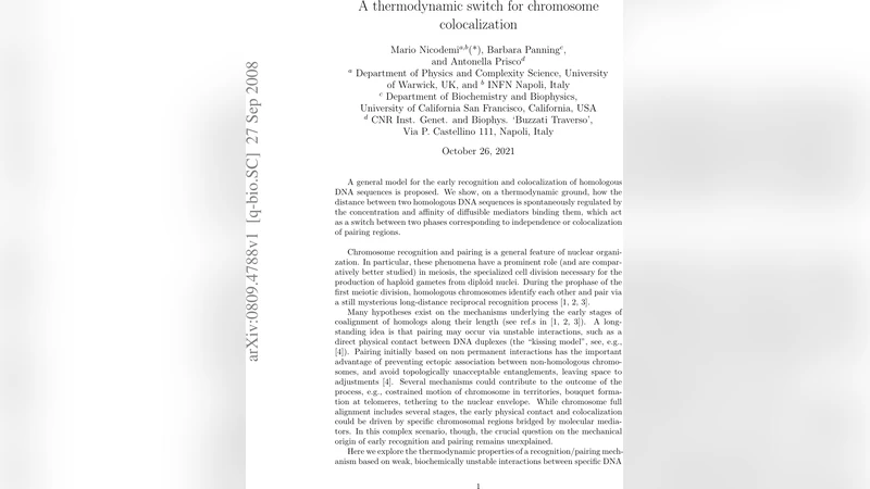 A thermodynamic switch for chromosome colocalization