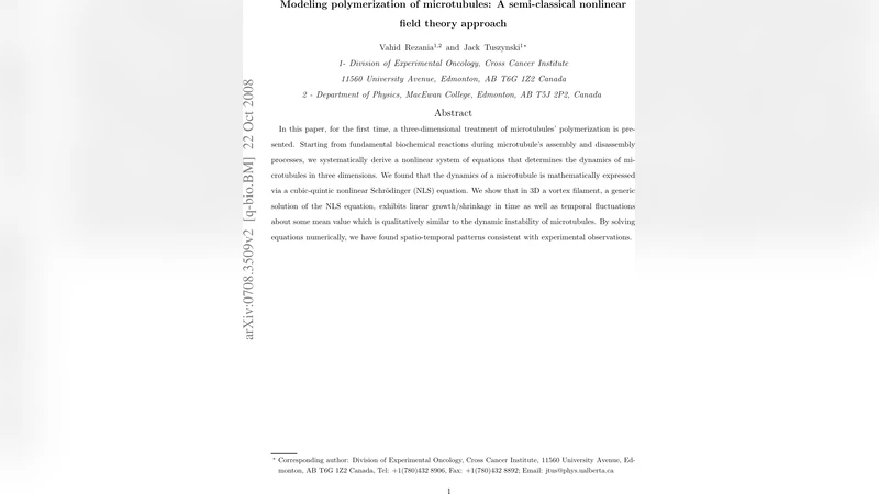 Modeling polymerization of microtubules: a quantum mechanical approach