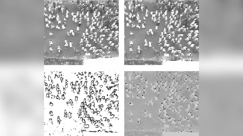 From Crowd Dynamics to Crowd Safety: A Video-Based Analysis