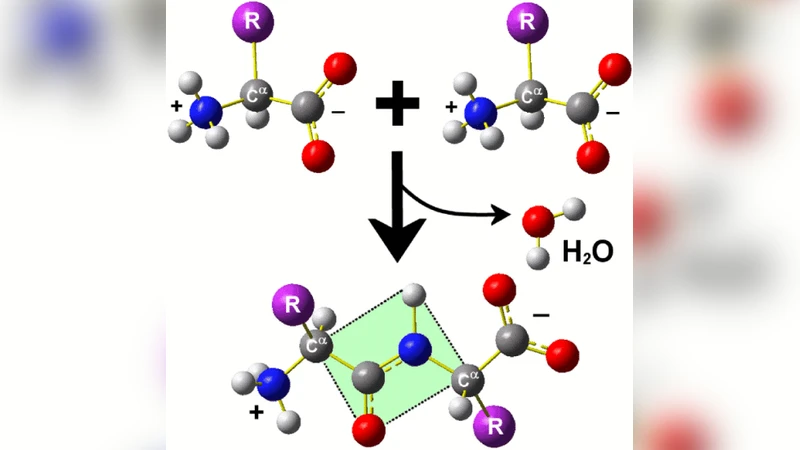 Introduction to protein folding for physicists
