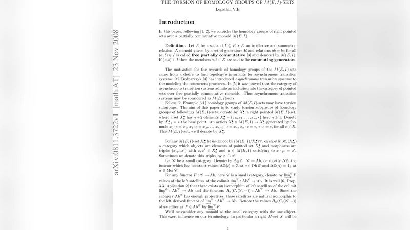 The Torsion of Homology Groups of M(E,I)-sets