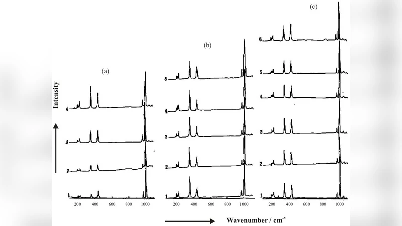 A Raman spectroscopic study of zircons on micro-scale and Its   significance in explaining the origin of zircons