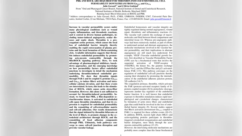 Protein Kinase C-related Kinase and ROCK Are Required for   Thrombin-induced Endothelial Cell Permeability Downstream from G{alpha}12/13   and G{alpha}11/q