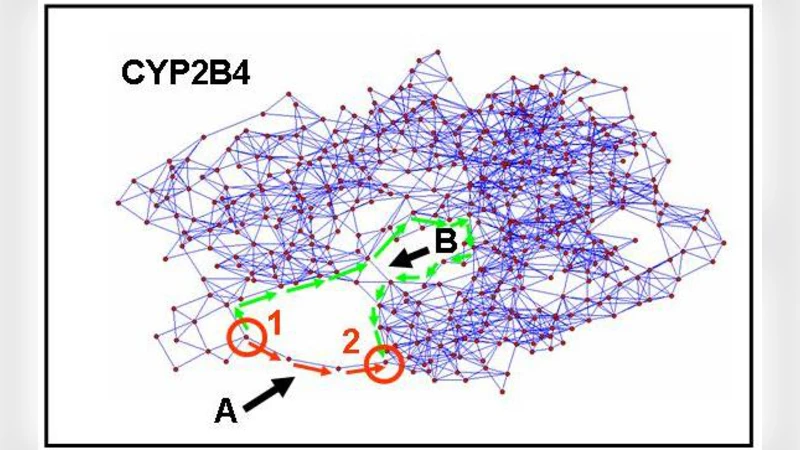 Creative elements: network-based predictions of active centres in   proteins, cellular and social networks