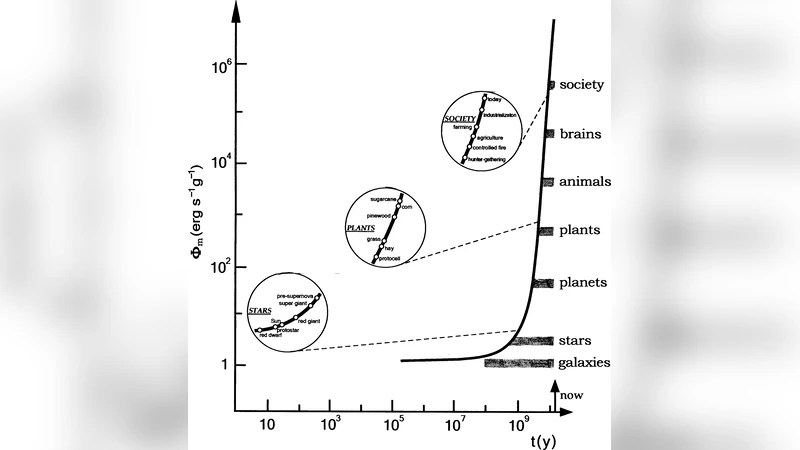 The Future of Scientific Simulations: from Artificial Life to Artificial   Cosmogenesis