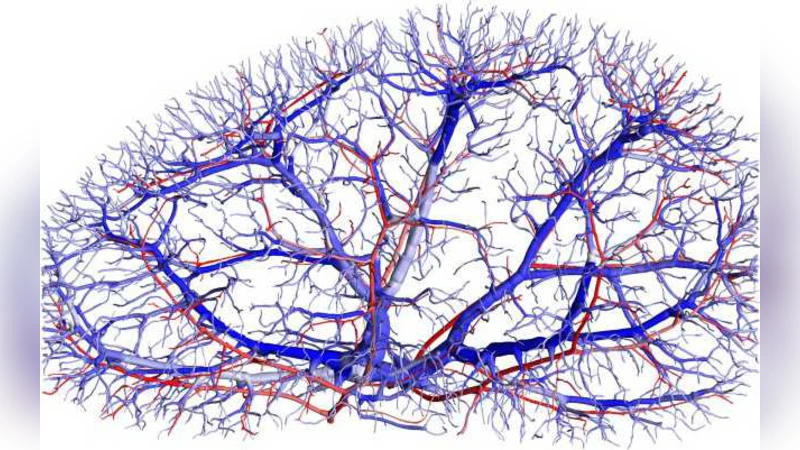 Distributed self-regulation of living tissue. Effects of nonideality