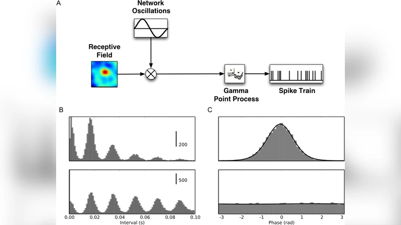 Information transmission in oscillatory neural activity