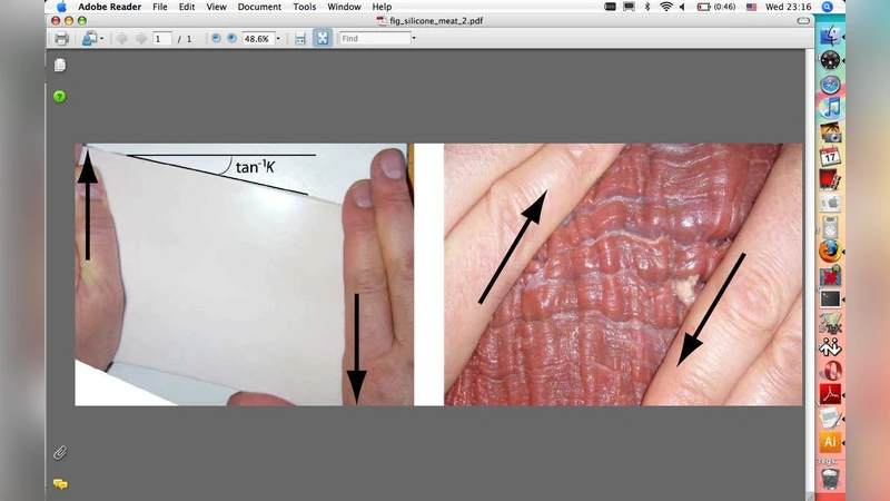 Surface instability of sheared soft tissues