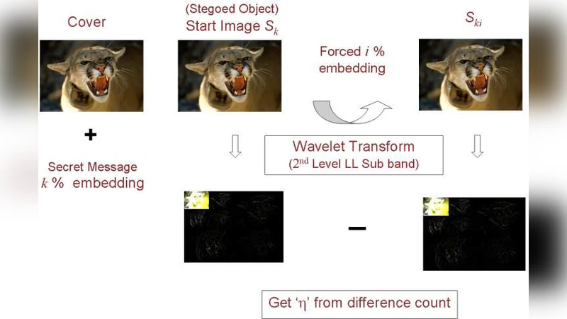 Measures for classification and detection in steganalysis