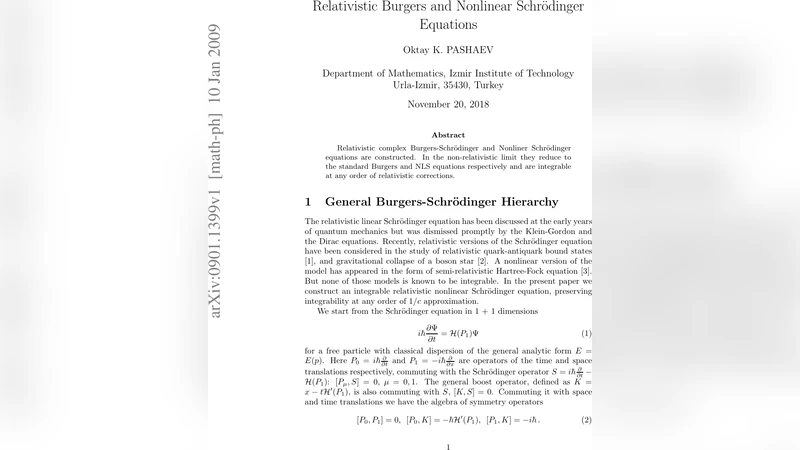 Relativistic Burgers and Nonlinear Schr"odinger Equations